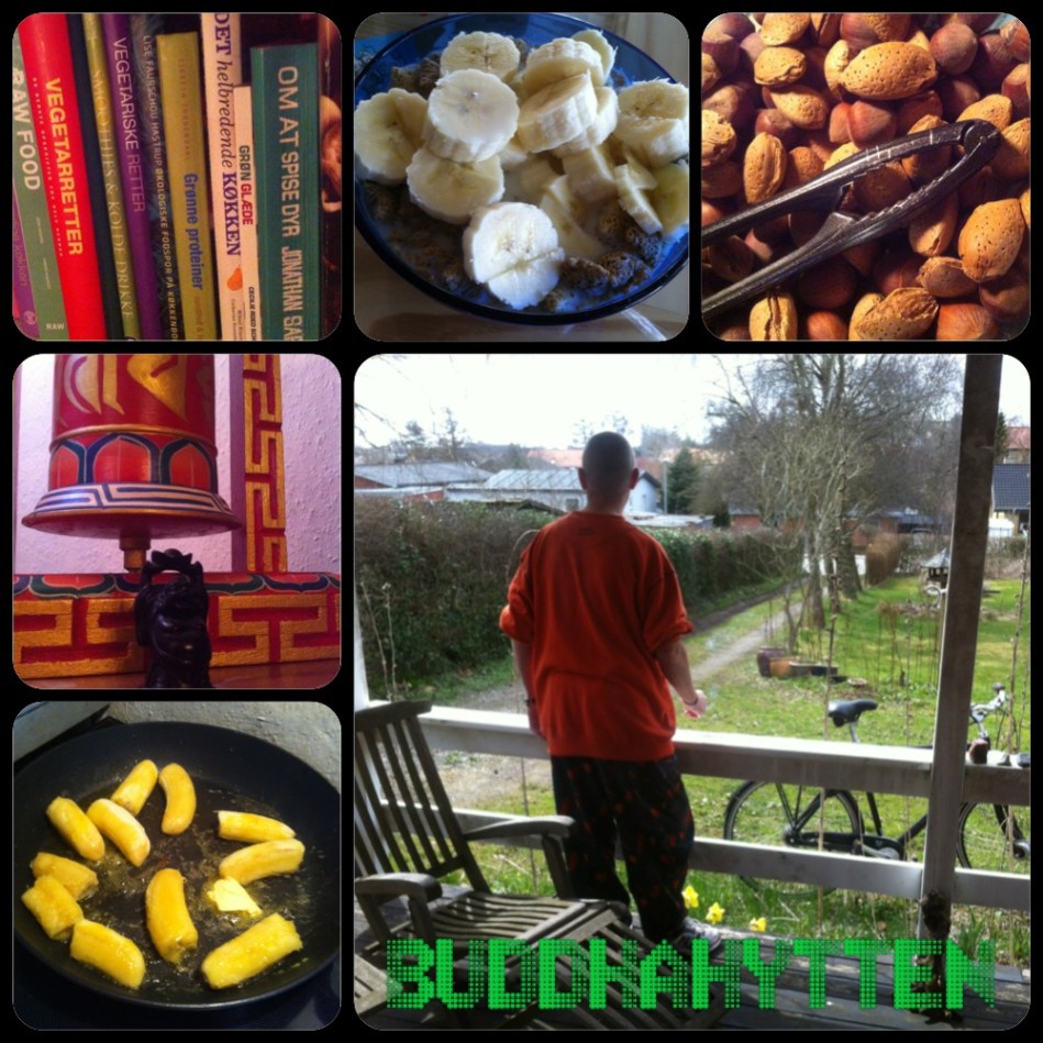 vegansk hygge, hyttetur, buddha