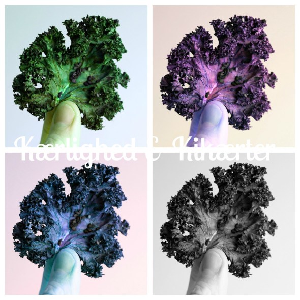 sund snack med grønkål