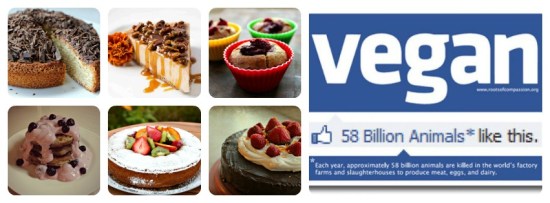 vegansk blog, sundhed, miljø, dyreetik, dyrevelfærd