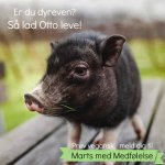 marts-otto